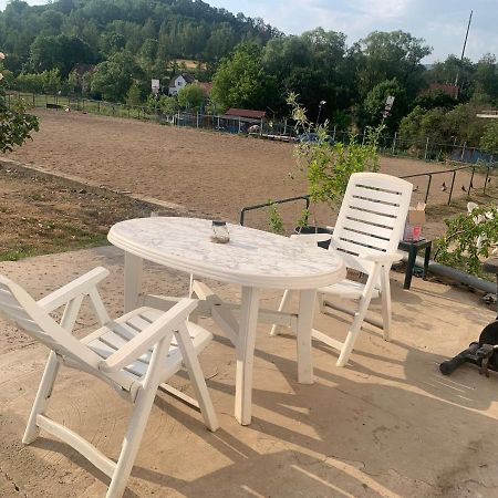 Ubytovani V Apartmanu, 2 Loznice, Na Farme Bzany المظهر الخارجي الصورة
